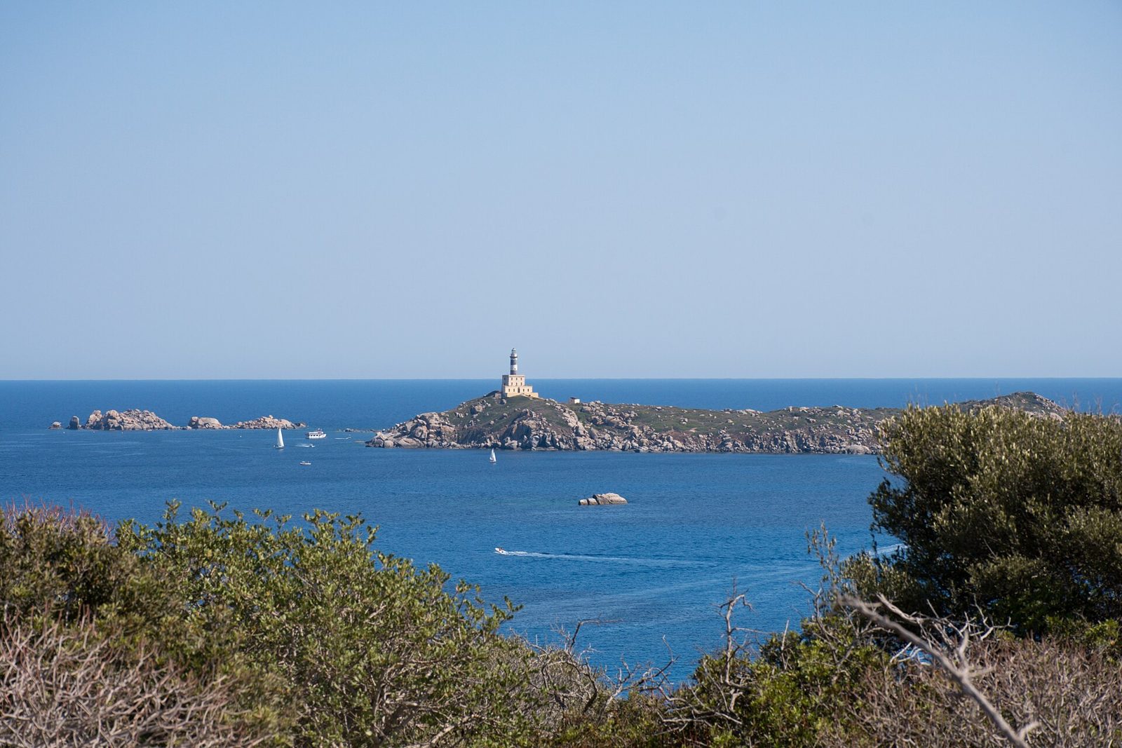 Isola dei Cavoli